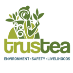 Untitled design - 2023-08-20T163650.480